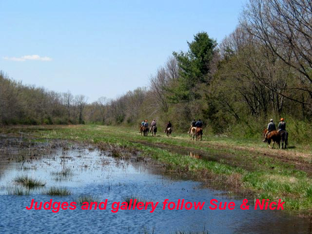 Judges and gallery follow Sue and Nick
